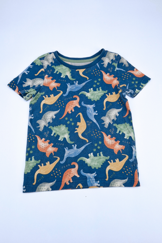 4-5 Years Dino Friends T-shirt