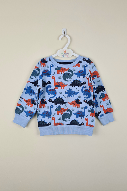 2-3y - Blue Dinosaur Theme Print Sweatshirt (Bluezoo)