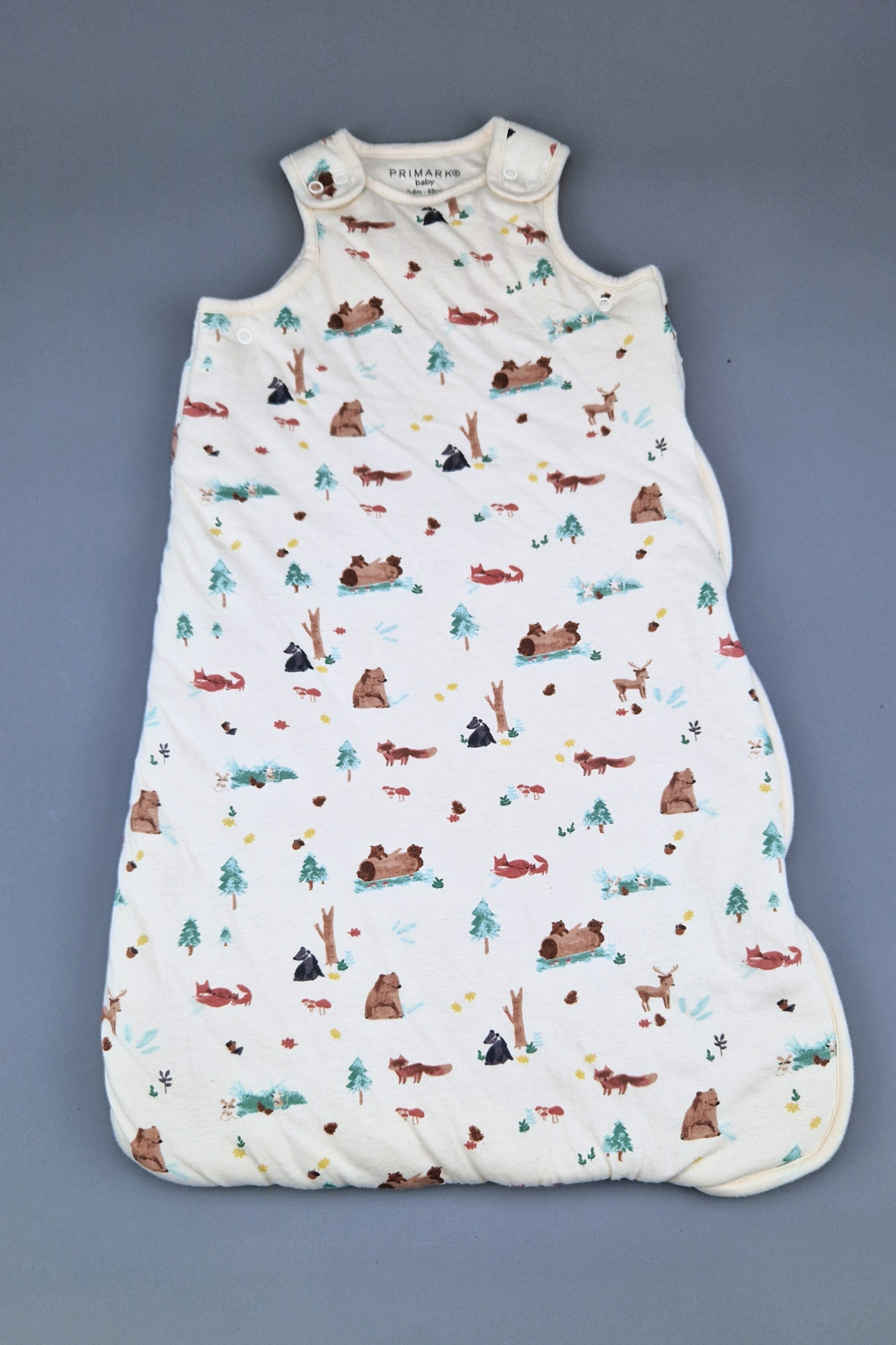 0-6m Primark Baby Sleeping Bag