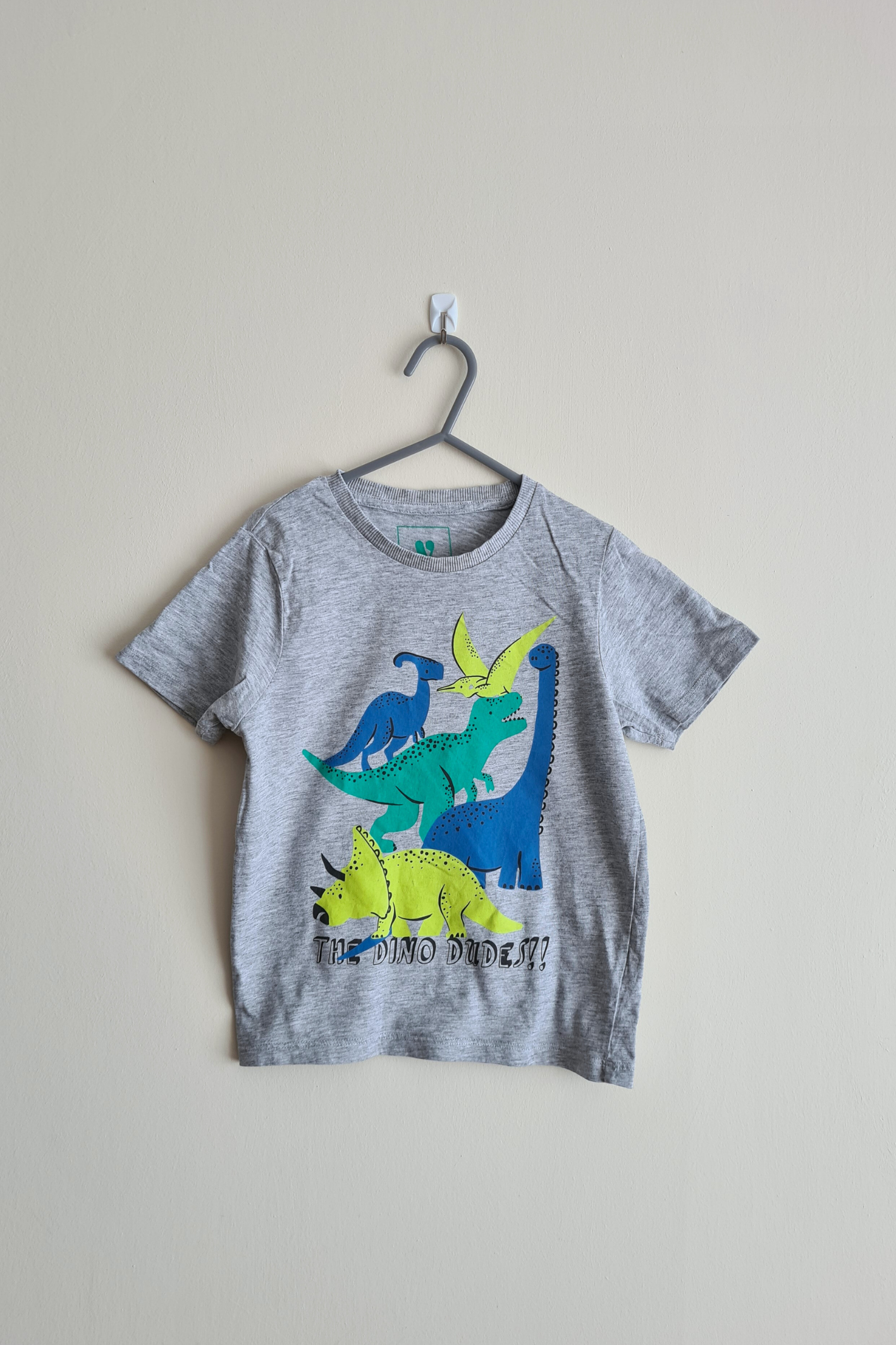 7 Jahre – Graues T-Shirt „The Dino Dudes“ (V von Very)