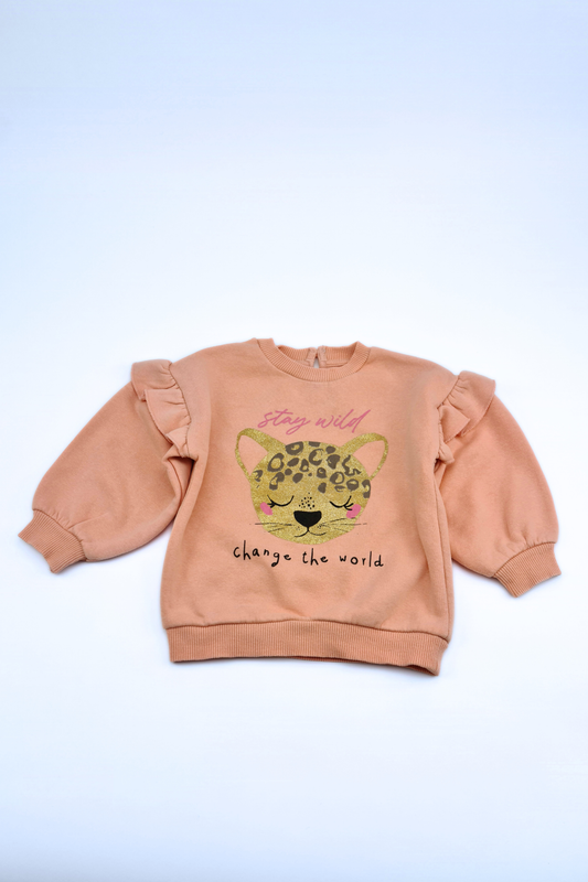 12-18 Months 'Stay Wild Change The Wild' Pink Sweatshirt