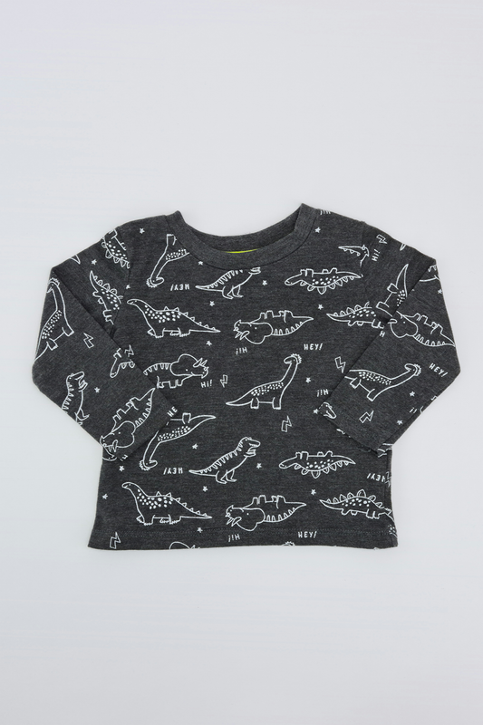 Dinosaur T-shirt - Precuddled.com